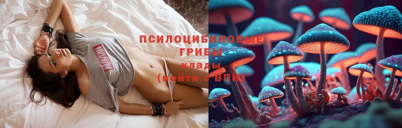 Псилоцибиновые грибы MAGIC MUSHROOMS  продажа наркотиков  Нюрба 